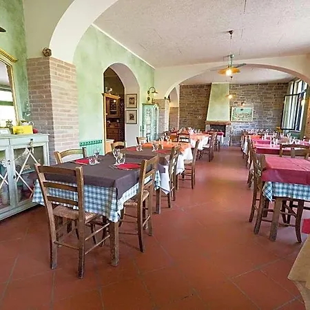 Il Sicomoro