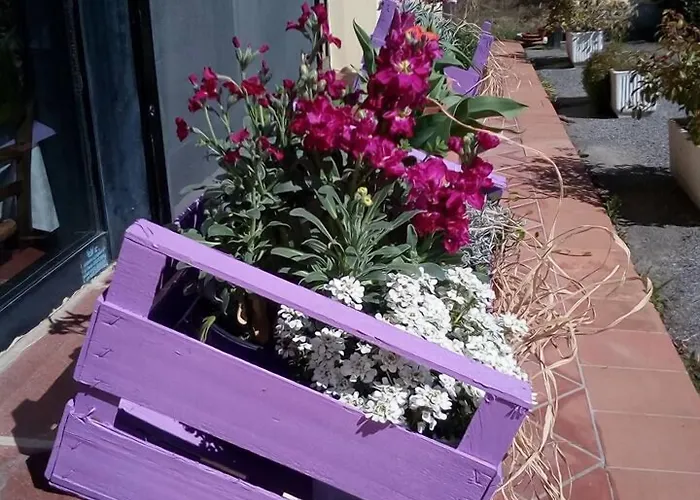 Il Sicomoro פיביצאנו