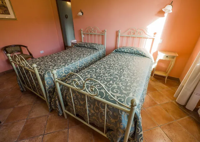 Il Sicomoro